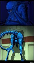 1futa accidentally_stuck alien alien_(franchise) ass backsack balls breasts cleavage cock-tail curvy erection exposed exposed_anus exposed_ass exposed_balls exposed_penis exposed_pussy eyeless female_xenomorph full-package_futanari futa_only futanari futasub humanoid intersex large_ass large_breasts large_penis nude penis pussy shintori smile solo stuck stuck_in_door stuck_in_vent through_wall vent xenomorph