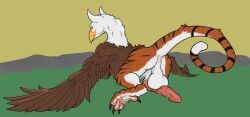 ass avian avian_feet balls beak erection feet feral genitals gryphon hi_res hybrid knot male multi_knot mythological_avian mythological_creature mythology rear_view resting_on_belly serrated simple_background talons toes whiskerdoodles wings