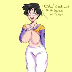 dragon_ball dragon_ball_z son_gohan tagme theprincesskari videl