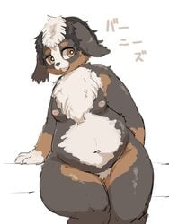 breasts brown_eyes canine female furry grey_hair multicolored_hair sasamino solo two-tone_hair white_hair