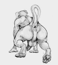 2018 all_fours anatomically_correct anatomically_correct_anus animal_anus animal_genitalia animal_penis anthro anus ass ball_tuft balls butt_focus canine canine_penis drangus_(artist) erection from_behind_(disambiguation) knot male male_only mammal pawpads paws penis perineum presenting raised_tail solo