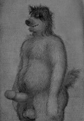 anthro balls bd belly black_and_white canine erection fur humanoid_penis male male_only mammal monochrome navel nude overweight overweight_male pencil_(artwork) penis slightly_chubby smile solo standing traditional_media_(artwork)