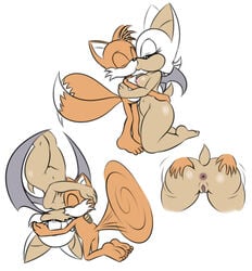 anus ass bat fox hyoumaru interspecies kissing polarplunge pussy rouge_the_bat size_difference smaller_male sonic_(series) spread_ass tails