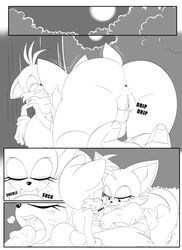 anus ass fellatio oral paizuri penis polarplunge pussy rouge_the_bat sonic_(series) tails