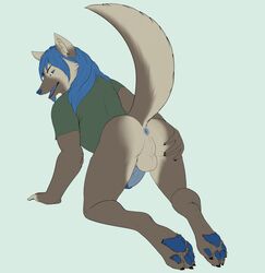 anthro anus ass backsack balls bedroom_eyes blue_anus blue_hair blue_penis bottomless clothed clothing erection hair half-closed_eyes male male_only paws penis presenting presenting_anus presenting_hindquarters sabrotiger seductive solo spread_ass spreading taithefox