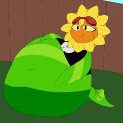 1girls anthro anthrofied ass belly belly_bulge breasts digestion fat female female_pred flora_fauna plant plant_girl plant_humanoid plantie plants_vs._zombies plants_vs_zombies popcap_games pred pussy solar_flare_(pvz) sunflower_(pvz) vore vore_belly