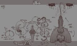 Coco (Brunobetyar) Rule 34 Image