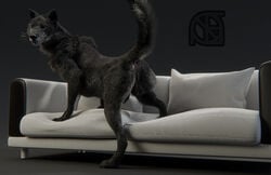 3d animal_genitalia anthro anus ass backsack balls black_fur black_nose canine cosmiclife fur looking_at_viewer male male_only mammal pinup pose presenting presenting_anus presenting_hindquarters raised_tail romeo semi-anthro sofa solo spread_legs spreading standing whiskers wolf