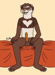 anthro balls bed brown_eyes brown_hair domestic_ferret erika_(cofferret) furniture genitals hair kola male mammal mustelid musteline on_bed orange_mouth orange_nose orange_penis penis sitting sitting_on_bed solo true_musteline weasel