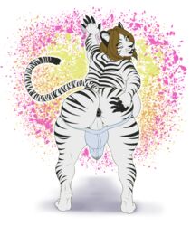 1futa anthro anus ass backsack balls big_breasts big_butt breasts bulge clothing comfycushion dickgirl feline futanari hand_on_butt intersex jockstrap looking_back makeup mammal puffy_anus slightly_chubby smile solo solo_futa spread_ass spreading tiger underwear