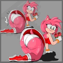 amy rose from sonic (series) by sourwayne