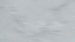 3d amy_rose animated car_sex driving_nude looking_at_partner riding sonic_(series) sonic_the_hedgehog sound ssmerchant tagme video