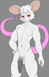 1boy 2024 anthro furry furry_male furry_only male male_only penis rat rat_boy rat_ears rat_tail tagme wockythetrap