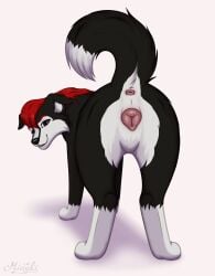 4_toes absurd_res animal_genitalia animal_vulva anus ass black_body black_eyes black_fur border_collie butt_focus canid canine canine_genitalia canine_vulva canis cheek_tuft collie digital_drawing_(artwork) digital_media_(artwork) dog_tail domestic_dog ears_down facial_tuft feet female feral fluffy fluffy_tail fur genitals hair herding_dog hi_res looking_at_viewer mammal miuyki multicolored_body multicolored_fur pastoral_dog pink_vulva pivoted_ears presenting raised_tail red_hair shaded sheepdog simple_background sketch smile smiling_at_viewer solo tail tail_anus toes tuft vulva white_background white_body white_fur