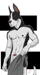 1boy animal_genitalia canine clothing great_dane jambalayathepit male male_only mammal muscular penis penis_tip sheath solo undressing