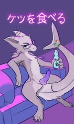 1boy anthro beverage big_tail canine digitigrade dosent elekea_(character) erection eyewear fin fish fox fur gator_penis glasses grey_fur japanese_text looking_at_viewer male male_only mammal manokit marine nintendo nude penis ramune shark simple_background sitting sofa solo text vaporwave video_games