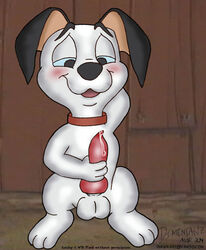 101_dalmatians 2004 anthro cub disney feral lucky_(101_dalmatians) male_only masturbation penis solo tagme testicles