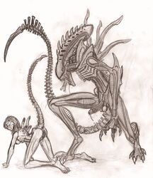 alien_(franchise) female hivetyrant47 male_xenomorph tagme xenomorph