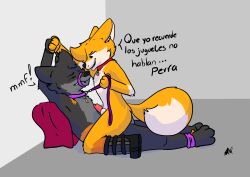 absurd_res anatomically_correct anthro boots bound canid canine canis chris_(raposanaranja) clothing collar dominant dominant_male duo footwear fox genitals hi_res humiliation leash leash_pull leashed_male male male/male mammal penis power_bottom raposanaranja red_penis simple_background spanish_text submissive submissive_male text wolf