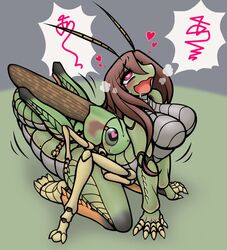 1boy 1girls 2018 abdomen antennae anthro anthro_on_feral arthropod big_breasts blush breasts brown_hair claws crying embrace female female_penetrated feral grasshopper green_background grey_background grey_eyes hair heart heart-shaped_pupils heavy_breathing hikagenootimsya human insects interspecies kneeling male male_penetrating non-mammal_breasts nude open_mouth penetration pink_eyes post_transformation scales sex simple_background speech_bubble spoken_heart straight tears text transformation zoophilia