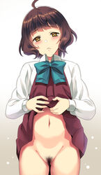 ahoge bangs blunt_bangs blush brown_eyes brown_hair cowboy_shot dress dress_lift female kantai_collection kishinami_(kantai_collection) kyougoku_shin lifted_by_self long_sleeves looking_down navel no_legwear pleated_dress pubic_hair purple_dress school_uniform shirt short_hair simple_background skirt skirt_lift solo wavy_hair white_background white_shirt