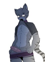 anthro balls blue_eyes briefs bulge cat clothed clothing collar erection eyewear feline fur furry furry_only glasses humanoid_penis jake_(blazingpelt) looking_at_viewer male male_only mammal munks_(artist) penis shirt_lift shirt_up solo standing striped_fur teeth underwear underwear_down