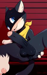 morgana (persona) from megami tensei by carpetwurm
