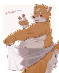 2026 anthro balls_outline bodily_fluids border bulge canid canine canis cheeky chinese_description detailed_bulge domestic_dog fangs flaccid fur genital_outline genitals gesture hand_gesture hi_res holding_object holding_towel looking_at_viewer male mammal morain_xs nude_male open_mouth orange_body orange_fur overweight overweight_male penis penis_outline side_view solo sweat tail teeth tongue towel v_sign white_body white_border white_fur