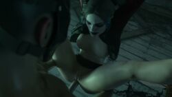athletic_female batman_(series) dc_comics fatcat17 harley_quinn human light-skinned_male no_sound rape tagme tail_sex video