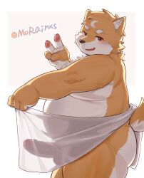 2026 anthro balls_outline bodily_fluids border bulge canid canine canis cheeky chinese_description detailed_bulge domestic_dog erection fangs fur genital_outline gesture hand_gesture hi_res holding_object holding_towel looking_at_viewer male mammal morain_xs nude_male open_mouth orange_body orange_fur overweight overweight_male penis_outline side_view solo sweat tail teeth tongue towel v_sign white_body white_border white_fur