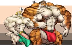 anthro balls beard big_balls body_hair bulge canine chest_hair clothing duo facial_hair feline huge_balls hyper hyper_balls hyper_muscles hyper_penis male male_only mammal muscular muscular_male nipples oldshep pecs penis penis_outline pubes smile speedo standing swimsuit tiger vein