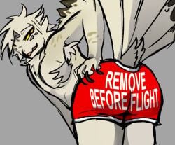 nikita_(brinep00l) brinep00l owl snowy_owl furry chubby ass_focus