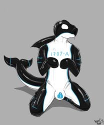 2024 anthro bodily_fluids cetacean clothing dolphin drone drooling eyeless faceless_character faceless_male goo_transformation hi_res kneeling latex latex_clothing latex_skinsuit lock_bulge lock_symbol male mammal marine null_bulge oceanic_dolphin orca riggedreded saliva simple_background skinsuit solo submissive tight_clothing toothed_whale toy transformation