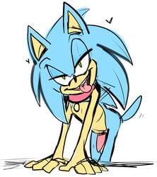 2010 animal_genitalia bedroom_eyes collar collar_tag half-closed_eyes heart january leaning leaning_forward male male_only monsterdongles penis seductive simple_background sonic_(series) sonic_the_hedgehog sonic_the_hedgehog_(series) spines teeth tongue tongue_out white_background