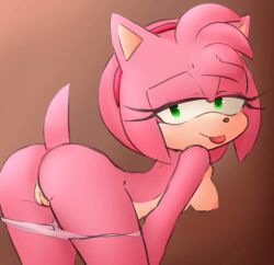 amy rose from sonic (series) by hearlesssoul