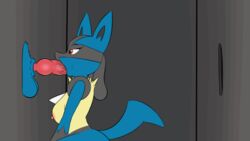 1boy 1girls 2018 animal_genitalia animal_penis animated anthro breasts canine canine_penis duo erection fellatio female furry glory_hole knot knotsafefurrwork lucario male mammal nintendo nipples nude oral oral_penetration penetration penis pokemon pokemon_(species) pokemon_dppt red_eyes sheath side_view sideboob simple_background solo_focus straight testicles video_games