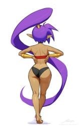 1girls arabian_clothes ass ass_focus back_view black_panties dark-skinned_female elf_ears ponytail purple_hair revenantart shantae shantae_(character) tagme viewed_from_behind wayforward white_background