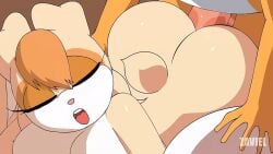 1boy 2d anal anal_sex animated ass big big_breasts big_butt breasts female furry gif nude penis pussy sega sex sonic_(series) sonic_the_hedgehog_(series) tails_the_fox vanilla_the_rabbit zaviel