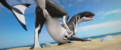 2018 3_toes 3d absurd_res anus aquatic_dragon ass cetacean claws detailed_background dragon female half-closed_eyes hi_res hybrid looking_at_viewer looking_back mammal marine miraroo orca outside presenting presenting_hindquarters pussy pussy_juice seductive solo toes tongue whale whiteperson