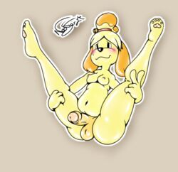 1futa animal_crossing anthro balls belly breasts canine dickgirl foreskin futa_only futanari gesture intersex isabelle_(animal_crossing) mammal nintendo partially_retracted_foreskin paws penis pornography slightly_chubby solo uncut v video_games xneostarx