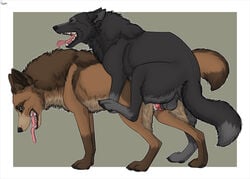 all_fours animal_genitalia balls canine cum dirty_paws_(character) doggy_style dripping female from_behind_position hybernation male malwolf mammal penetration sex straight tongue tongue_out vaginal_penetration wolf