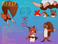 2018 anus backsack balls claws erection flaccid invalid_tag male mammal model_sheet open_mouth penis reed_(scuzzyfox) rodent scuzzyfox semi-anthro squirrel teeth