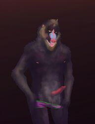 anthro balls clothed clothing erection fangs looking_at_viewer male male_only mammal mandrill monkey muscular nipples pants_down partially_clothed penis primate sammaeel solo tongue tongue_out topless underwear