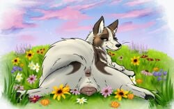 animal_genitalia animal_vulva black_claws black_nose black_pawpads brown_anus brown_vulva canid canine canine_genitalia canine_vulva canis claws domestic_dog female feral fur genitals german_shepherd grey_eyes herding_dog hi_res mammal muskydusky pastoral_dog pawpads solo tail tail_anus whiskers white_body white_fur white_tail