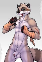 5_fingers anthro balls bandage blood foreskin male male_only mammal nude penis procyonid raccoon simple_background solo standing tsaiwolf