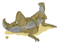 2016 5_fingers 5_toes anthro anus arm_support belly_scales big_breasts biped black_claws blep breasts brown_nipples brown_scales brown_sclera brown_spots brown_tail claws countershade_face countershade_tail countershade_torso countershading crest dewlap dewlap_(feature) female full-length_portrait green_scales green_tail grey_anus grey_countershading grey_scales grey_tail inot leaning_on_elbow looking_aside lying multicolored_scales multicolored_tail nipples non-mammal_breasts nude on_side orange_tongue pink_pussy portrait presenting presenting_pussy pussy raised_leg reptile scales scalie shadow simple_background slightly_chubby soles solo spots spotted_scales spotted_tail spread_legs spreading thick_thighs toe_claws toes tongue tongue_out tuatara two_tone_scales white_background wide_hips