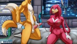 android breasts canine female fox genderswap knot knuckles_the_echidna libra-11 machine male mammal miles_prower nipples penis robot sega sonic_(series) sonic_team tails