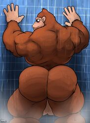 1boy anthro ape ass balls barazoku biceps big_ass big_butt big_thighs blush bubble_butt donkey_kong donkey_kong_(series) fur gorilla huge_ass huge_butt huge_thighs looking_at_viewer looking_back male male_only mammal manly muscular muscular_thighs nintendo nude primate shower solo standing thick_thighs triceps uniparasite video_games wet