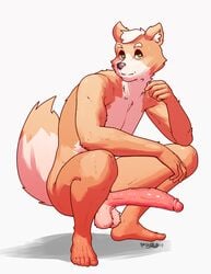 balls big_balls big_penis canine crouching fox fox_mccloud green_eyes huge_cock male male_only mammal naked nintendo nude pbrown penis star_fox video_games