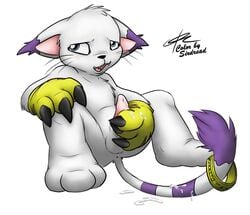 c0nnerc00n color digimon fur furry gatomon male male_only penis purple_fur sirdread solo white_fur